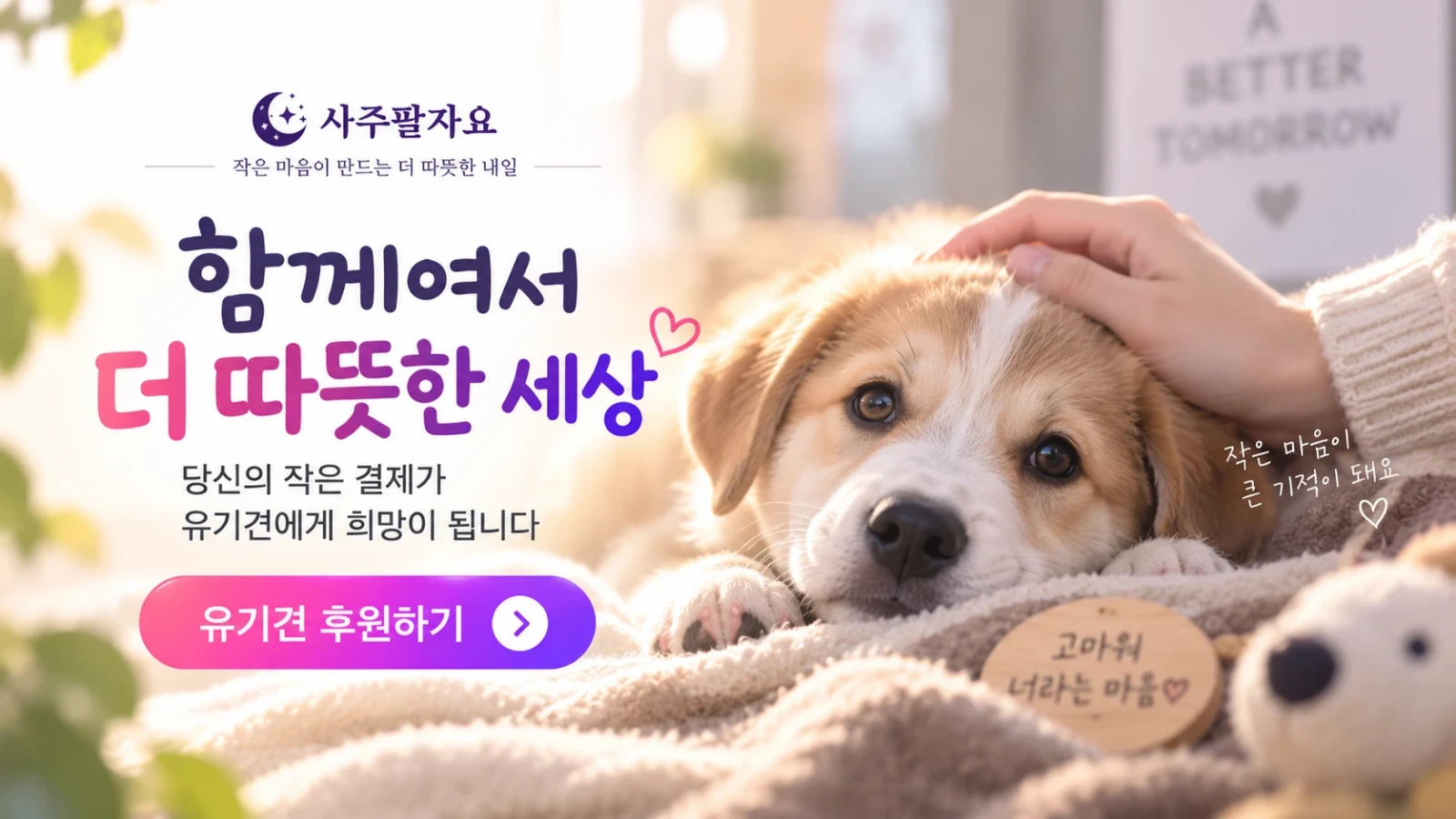 함께여서 더 따뜻한 세상 — 당신의 작은 결제가 유기견에게 희망이 됩니다